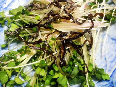 スプラウトの塩昆布和え